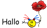 allg :hallo1